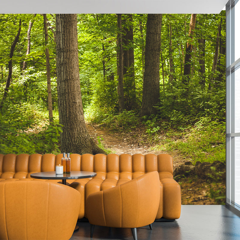 Contemporary Forest Mural Wallpaper Photography Horizontal Mildew Resistant for Bedroom