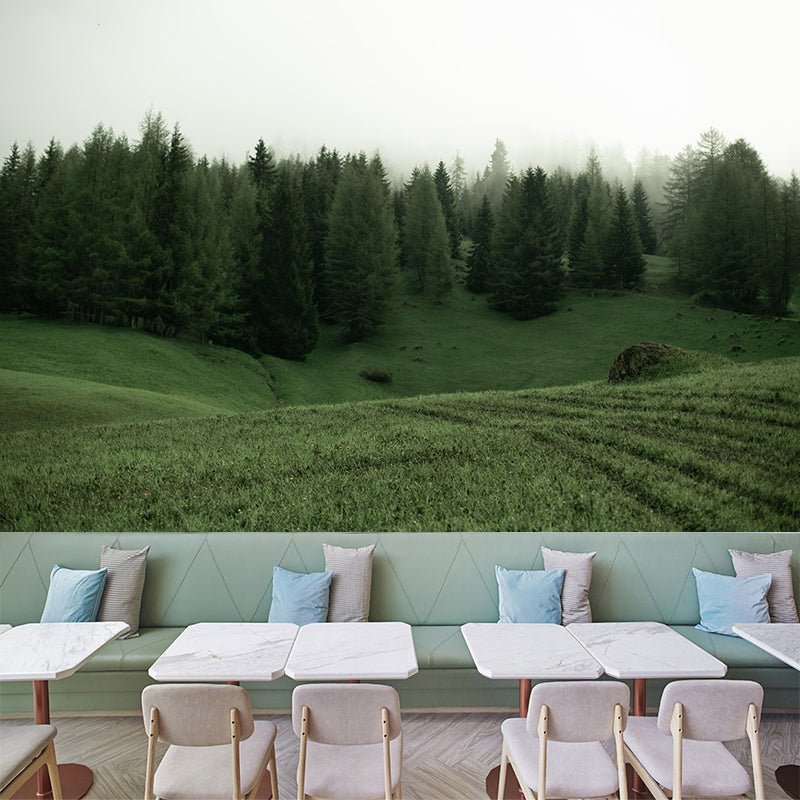 Huge Forest Modernist Wall Mural Decal Photography Stain Resistant for Living Room