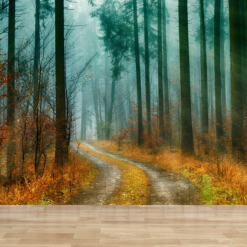 Huge Forest Modernist Wall Mural Decal Photography Stain Resistant for Living Room