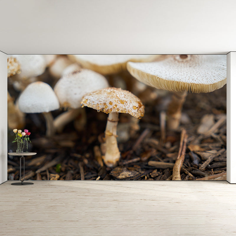 Modernist Mushroom Plant Wall Mural Decal Photography Stain Resistant for Kitchen