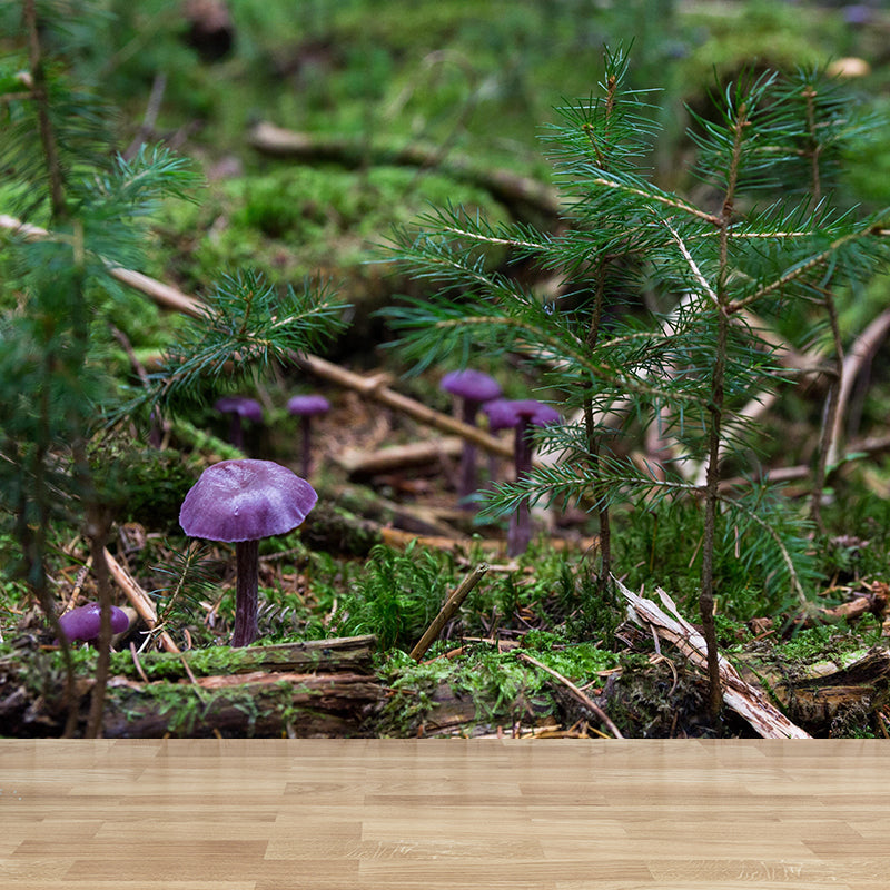 Modernist Mushroom Plant Wall Mural Decal Photography Stain Resistant for Kitchen