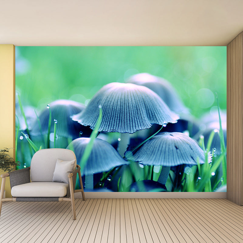 Mushroom Plant Modernist Wall Mural Decal Photography Stain Resistant for Living Room