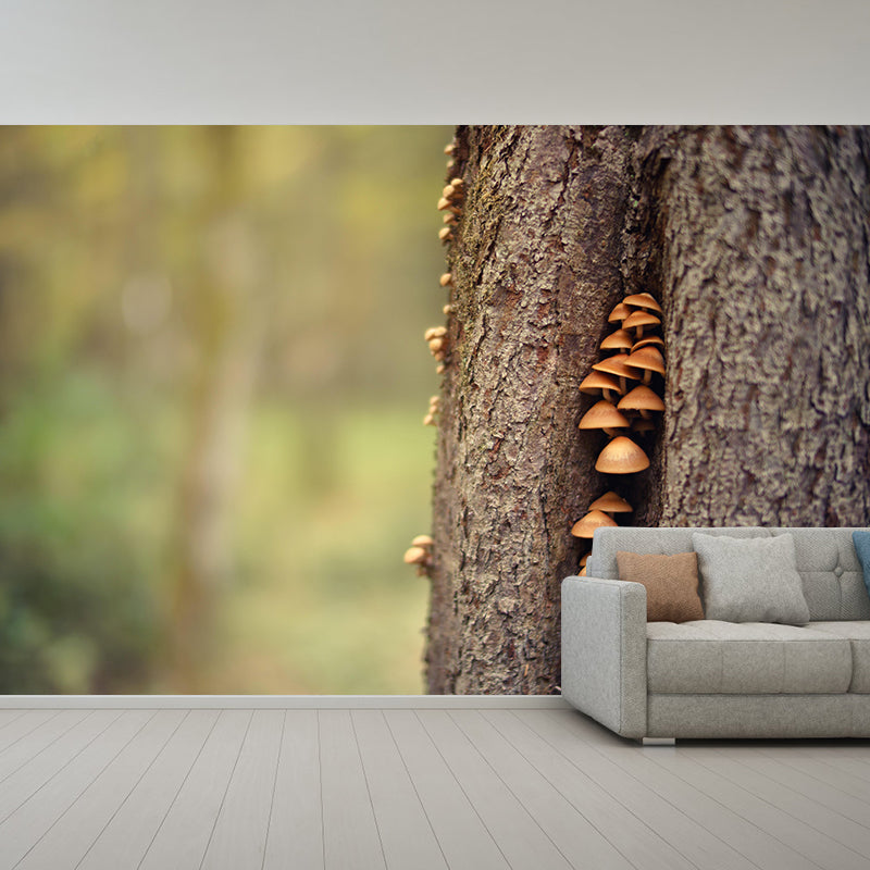 Mushroom Plant Modernist Wall Mural Decal Photography Stain Resistant for Living Room