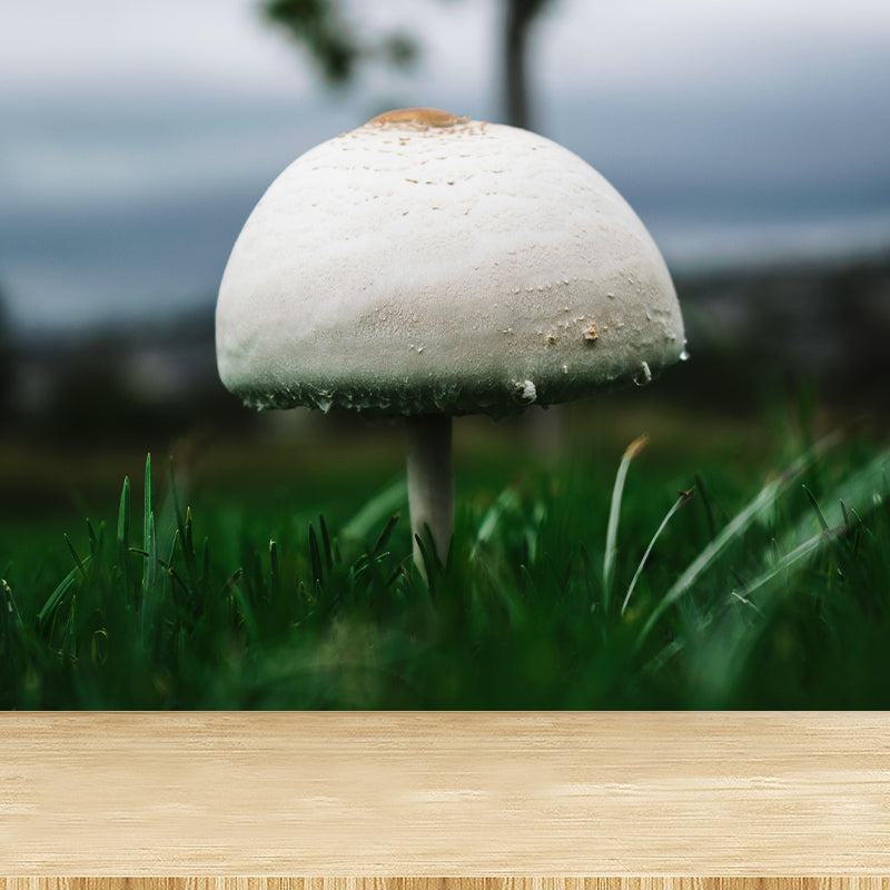 Customized Mushroom Wall Decor Kitchen Murals Moisture Resistant Backsplash