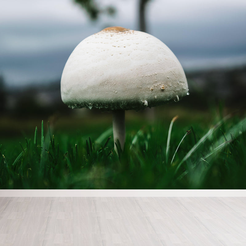 Customized Mushroom Wall Decor Kitchen Murals Moisture Resistant Backsplash