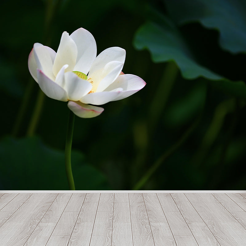 Décoration murale Lotus en fleurs pour chambre à coucher, résistante à l'humidité et couleur douce
