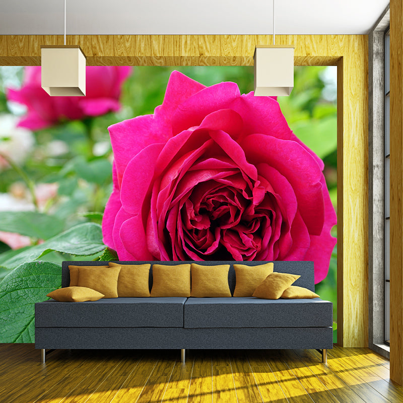 Beautiful Rose Wallpaper Mural Contemporary Style Wall Decor for Bedroom