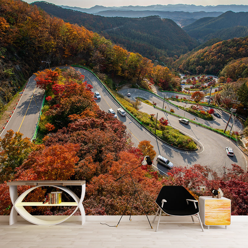 Various Highway View Mural Wallpaper Contemporary Mildew Resistant Wall Covering