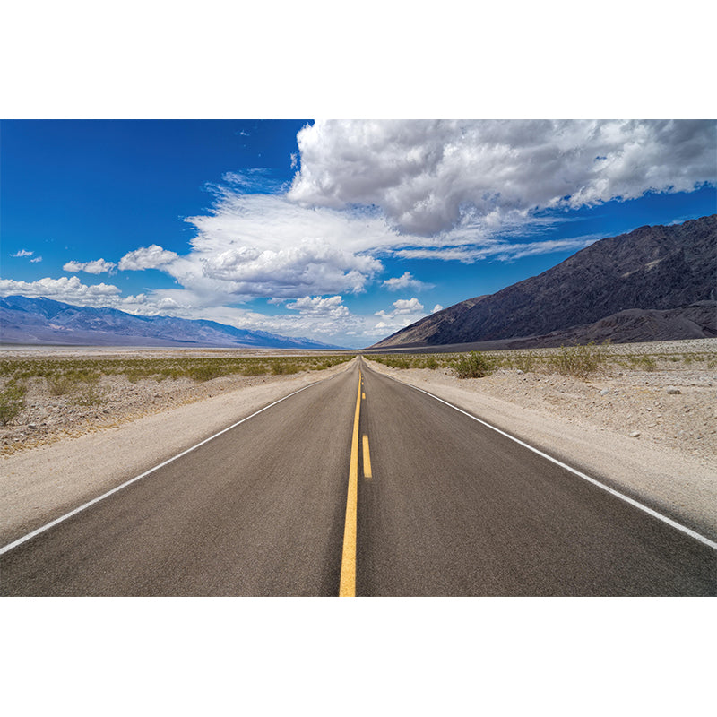 Various Highway View Mural Wallpaper Contemporary Mildew Resistant Wall Covering