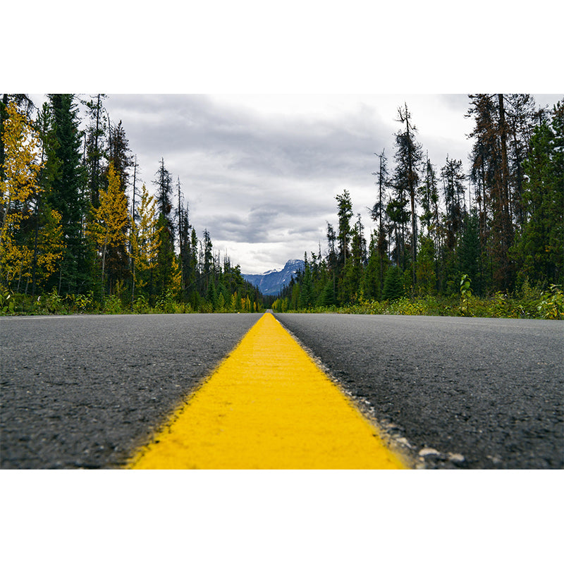 Full Size Photography Modern Mural Wallpaper with Road Pattern for Home Decor