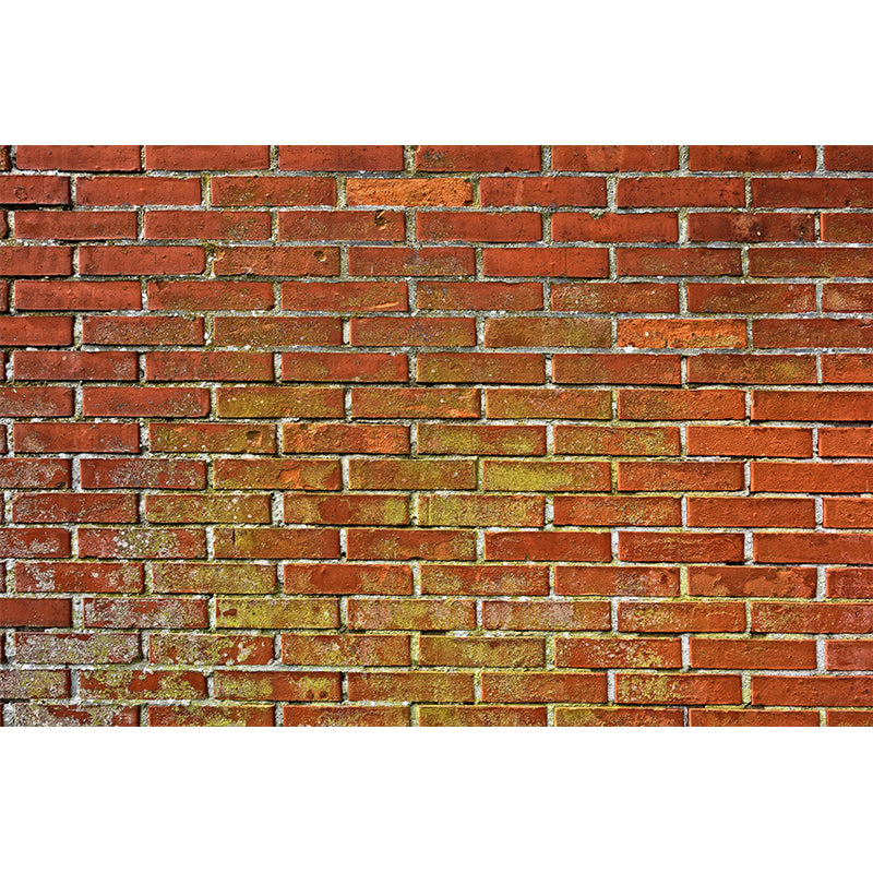 Photography Brickwork Wall Mural Decal Decorative Industrial Style for House Interior