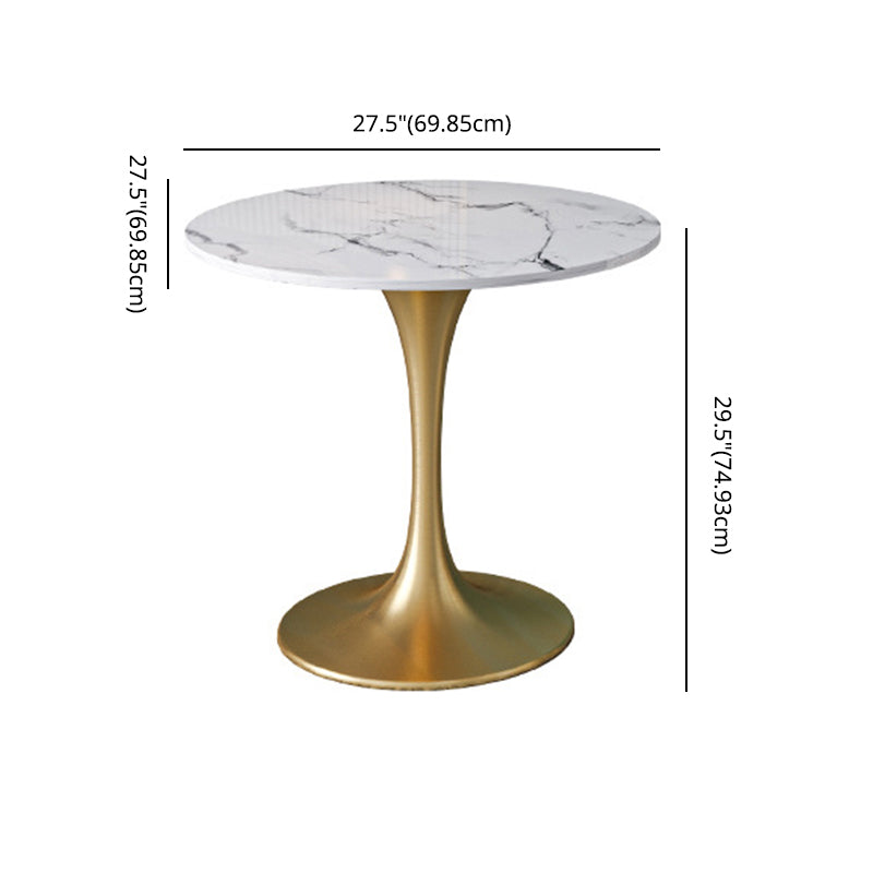 Scandinavian Kitchen Dining Room Set with Sintered Stone Top and Gold Base Dining Furniture