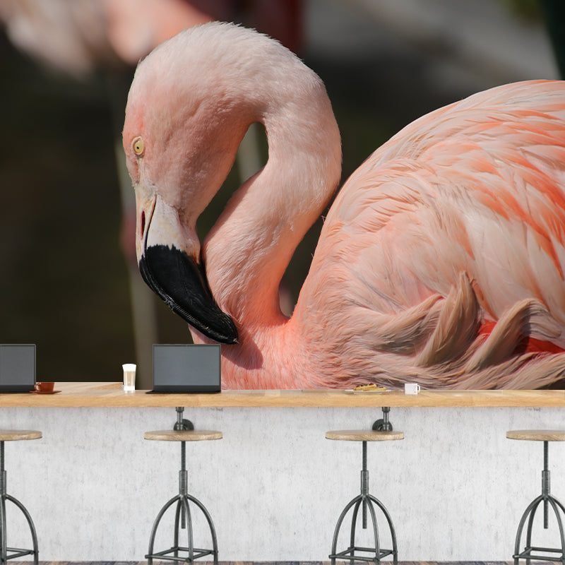 Flamingo Mural Stain Resistant Contemporary Bedroom Wall Decor, Personalized Size