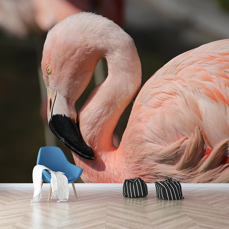 Flamingo Mural Stain Resistant Contemporary Bedroom Wall Decor, Personalized Size