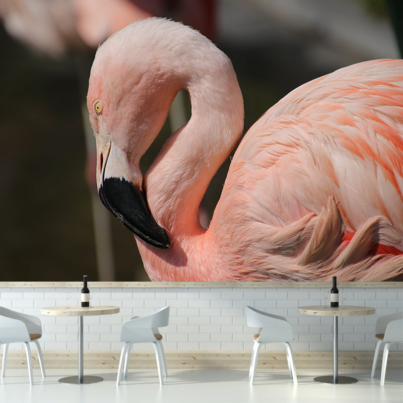 Flamingo Mural Stain Resistant Contemporary Bedroom Wall Decor, Personalized Size