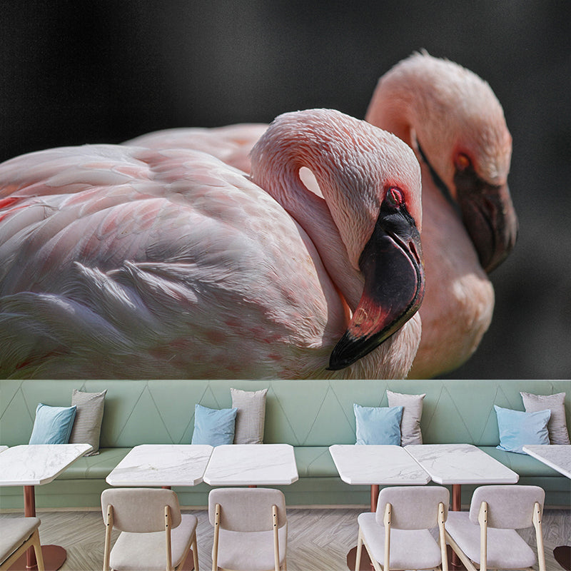 Flamingo Mural Stain Resistant Contemporary Bedroom Wall Decor, Personalized Size