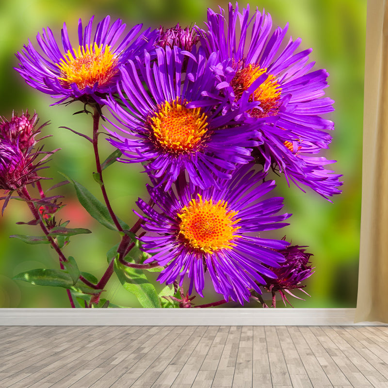 Bright Flowers Mural Decal Modern Wall Covering for Sitting Room, Waterproofing