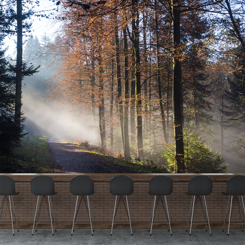 Photographic Forest Wall Mural Water Resistant Wall Decor for House Interior, Custom Size