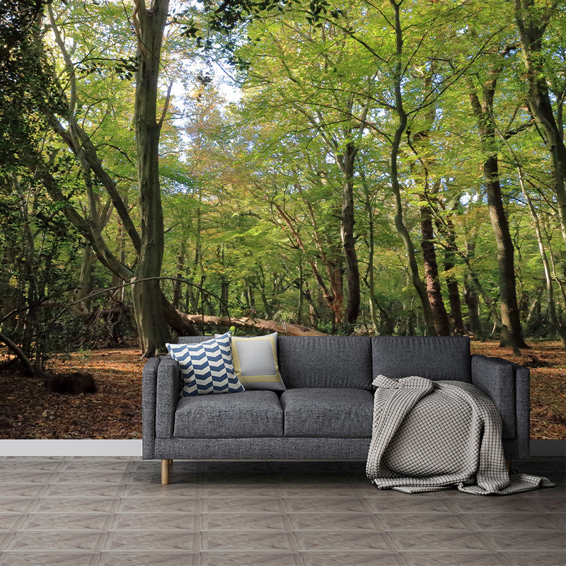 Photographic Forest Wall Mural Water Resistant Wall Decor for House Interior, Custom Size