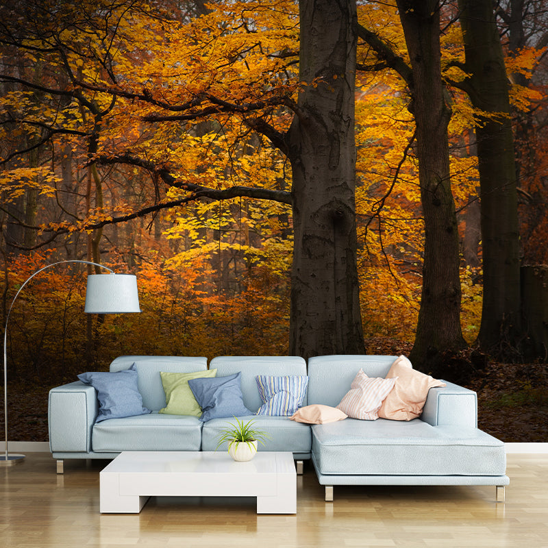 Autumn Forest Landscape Mural Water Resistant Wall Decor for Sitting Room