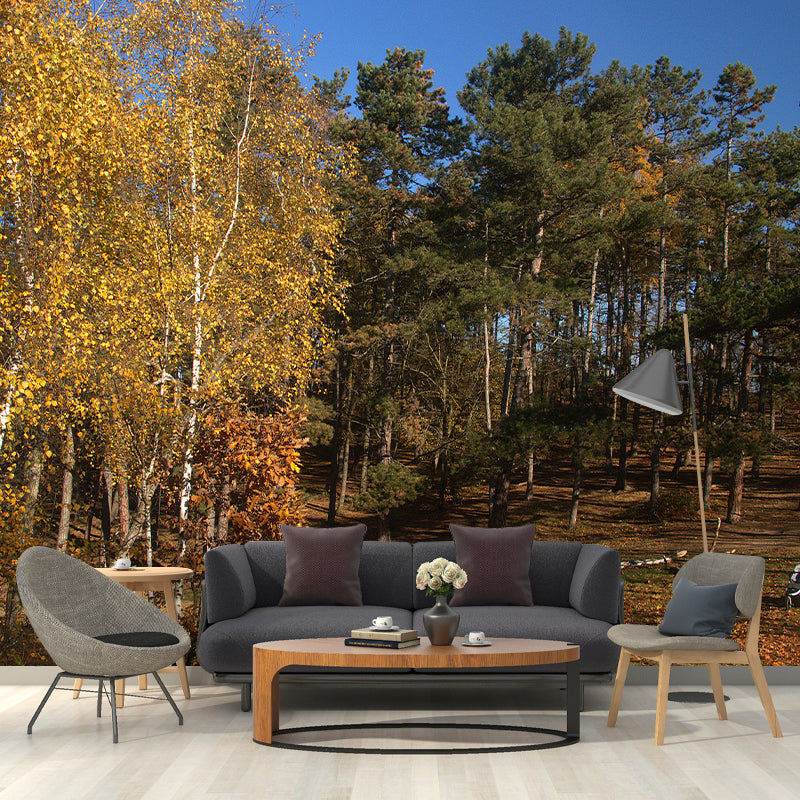 Misty Forest Scenery Stain-Proofing Wall Decor for Living Room Bedroom