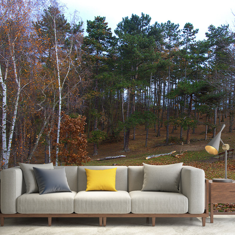 Misty Forest Scenery Stain-Proofing Wall Decor for Living Room Bedroom