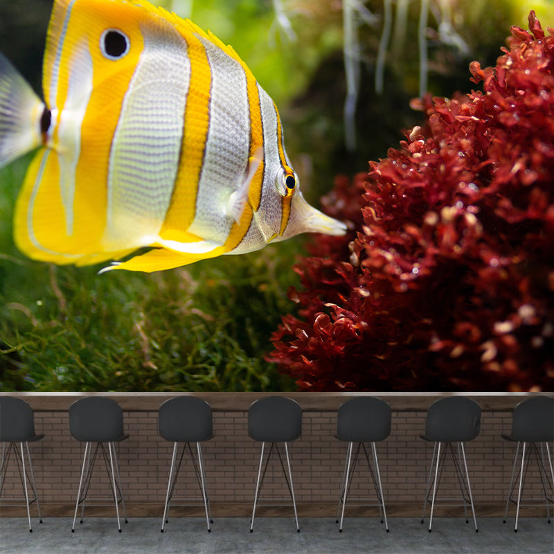 Interesting Seabed Mural Wallpaper Contemporary Wall Covering for Children's Bedroom