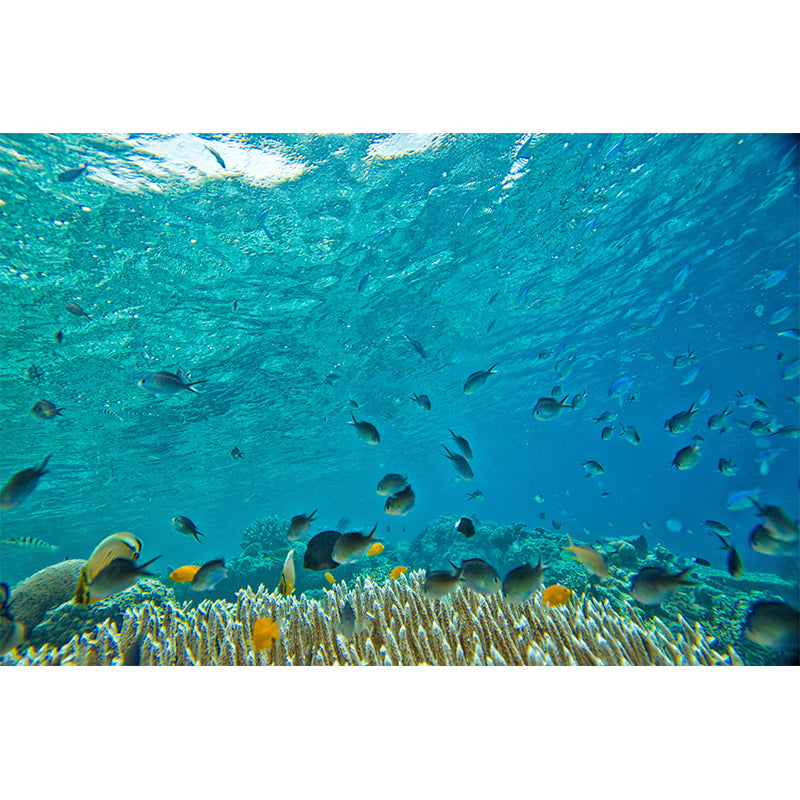 Photography Seabed Mural Decal Blue Wall Decor for Living Room, Custom Size