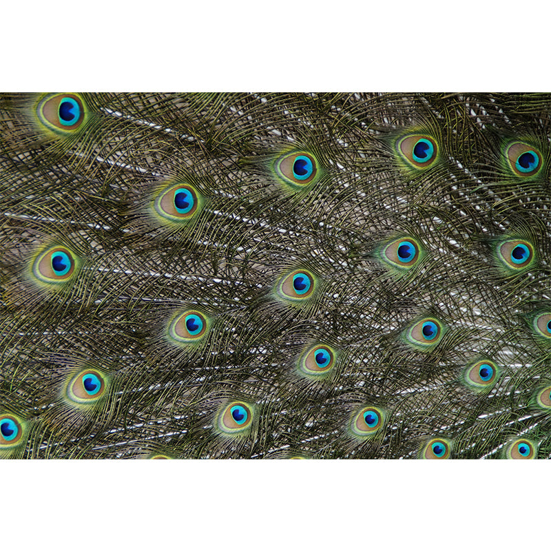 Light Feather Mural Stain Resistant Contemporary Bedroom Wall Decor, Waterproofing