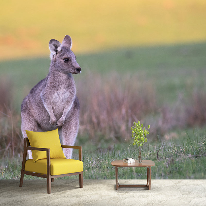 Clever Kangaroo Mural Decal Water Resistant Wall Decor for Living Room