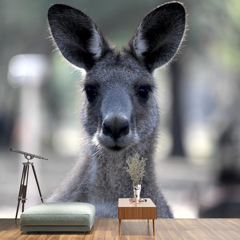 Clever Kangaroo Mural Decal Water Resistant Wall Decor for Living Room