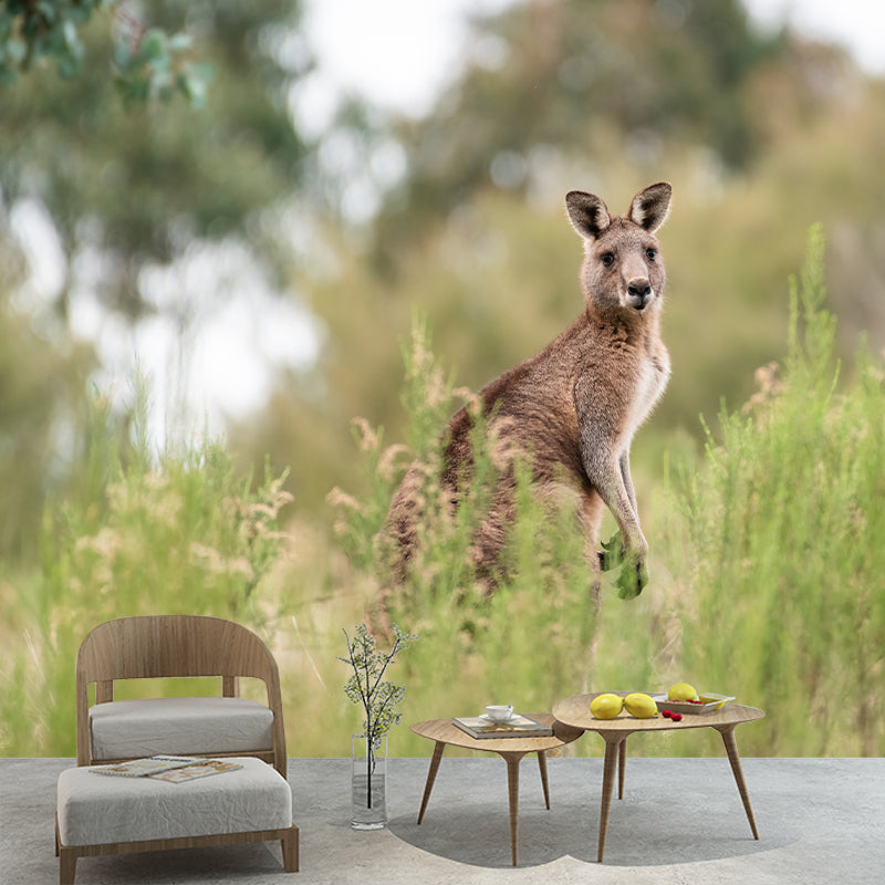 Clever Kangaroo Mural Decal Water Resistant Wall Decor for Living Room