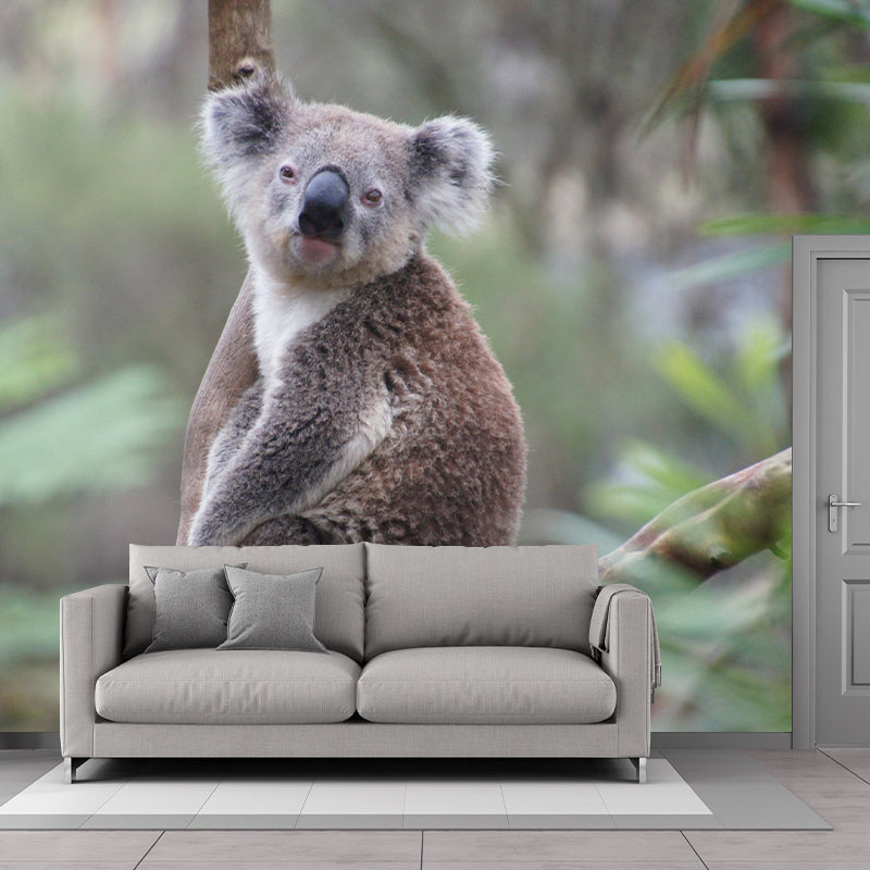 Koala Animals Mural Wallpaper Water Resistant Wall Decor for Living Room