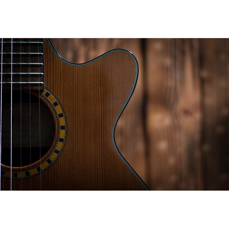 Water Resistant Guitar Hobby Mural Wallpaper Contemporary Wall Art for Study Room