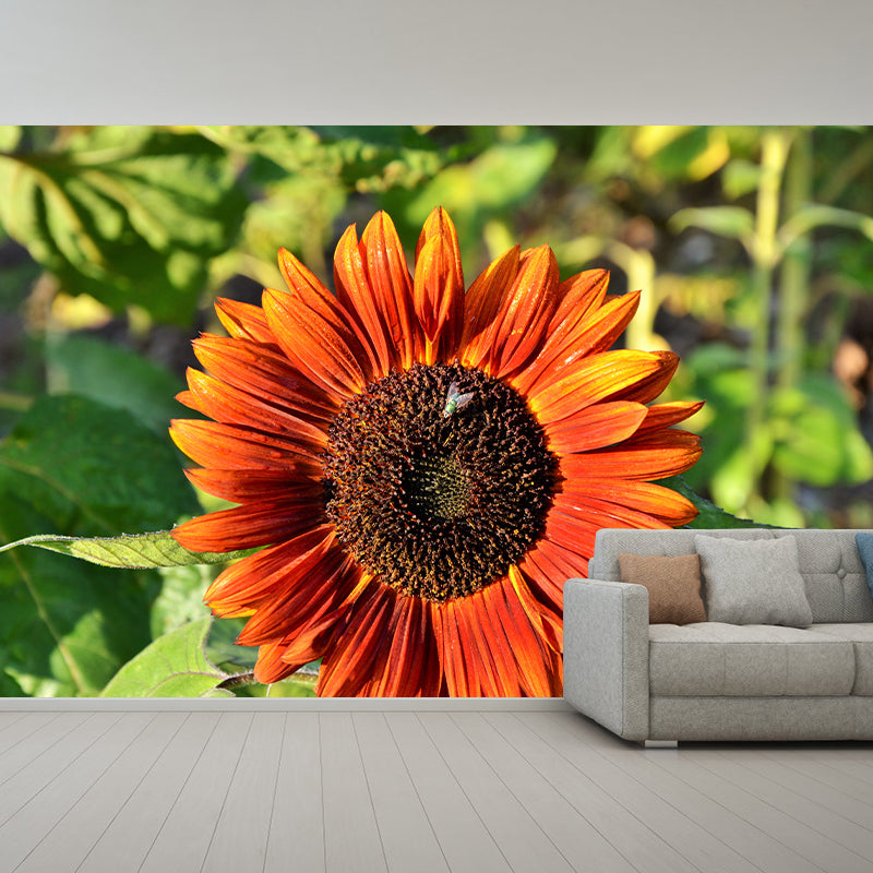 Sunflower Flower Mural Water-Resistant Wall Covering for Sleeping Room