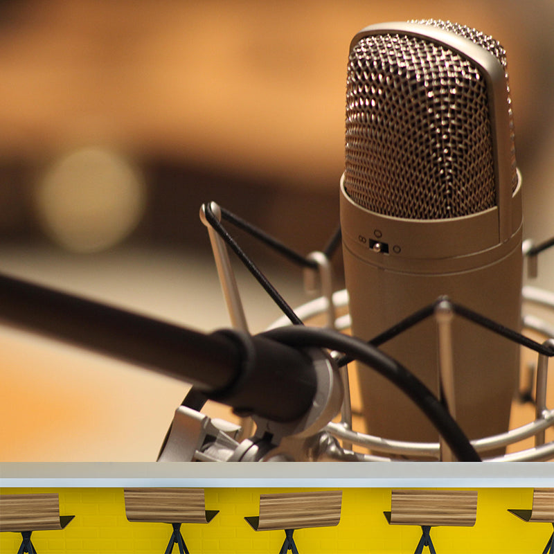 Hobby Sing Songs Mural Wallpaper Water Resistant Environment Friendly Wall Decor