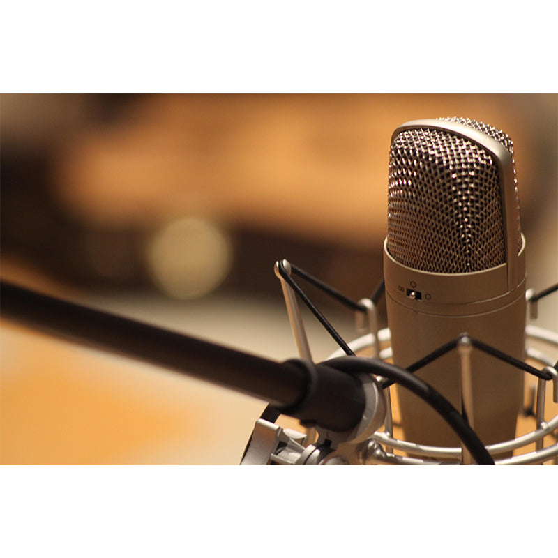 Hobby Sing Songs Mural Wallpaper Water Resistant Environment Friendly Wall Decor