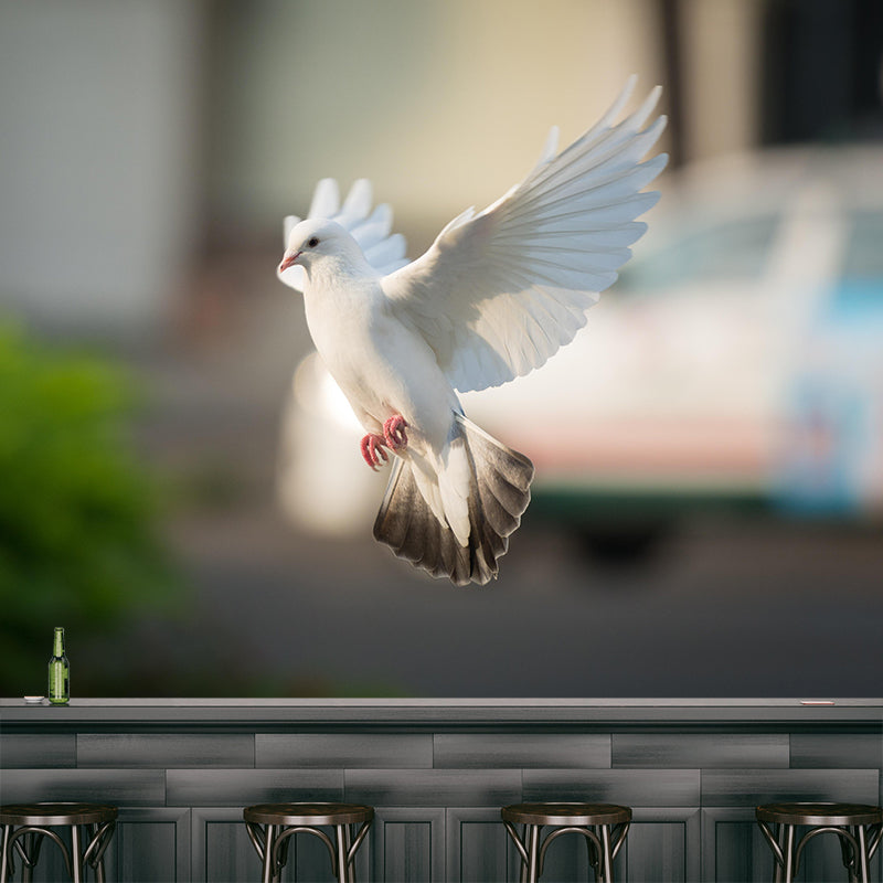 White Pigeon Murals Moisture Resistant Contemporary Hallway Wall Decoration