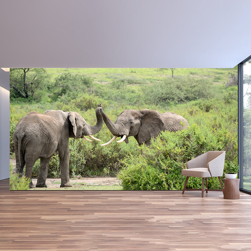 Huge Elephant Mural Wallpaper Contemporary Style Wall Covering for Living Room