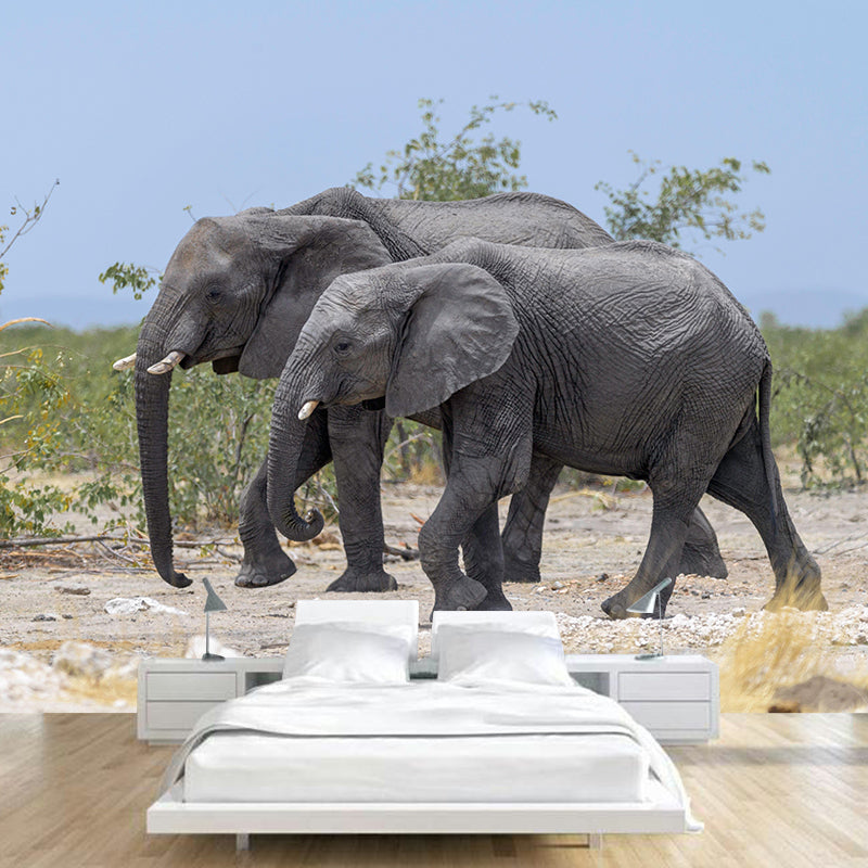 Huge Elephant Mural Wallpaper Contemporary Style Wall Covering for Living Room