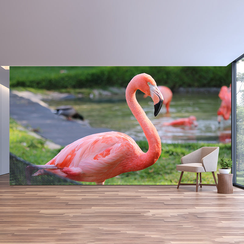 Flamingo Murals Moisture Resistant Contemporary Hallway Wall Decoration