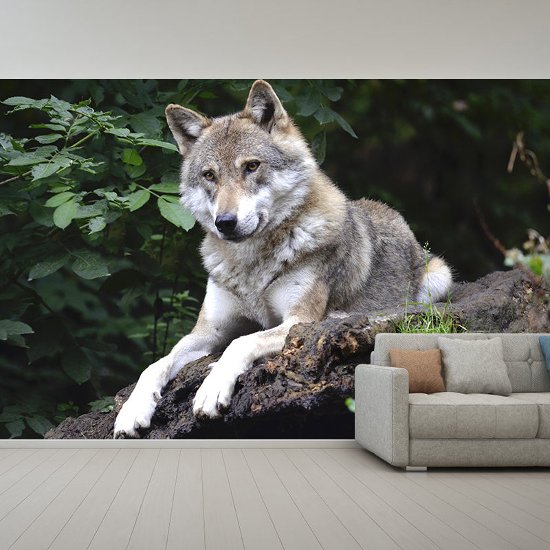 Contemporary Style Wolf Mural Eco-friendly Wallpaper Wall Covering for Sitting Room