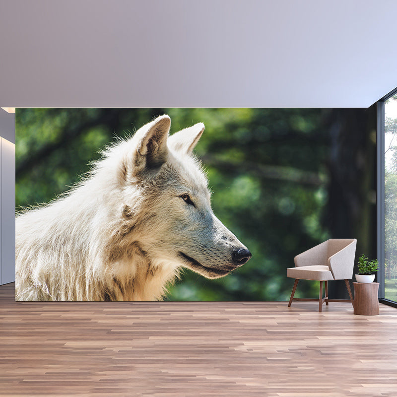 Contemporary Style Wolf Mural Eco-friendly Wallpaper Wall Covering for Sitting Room