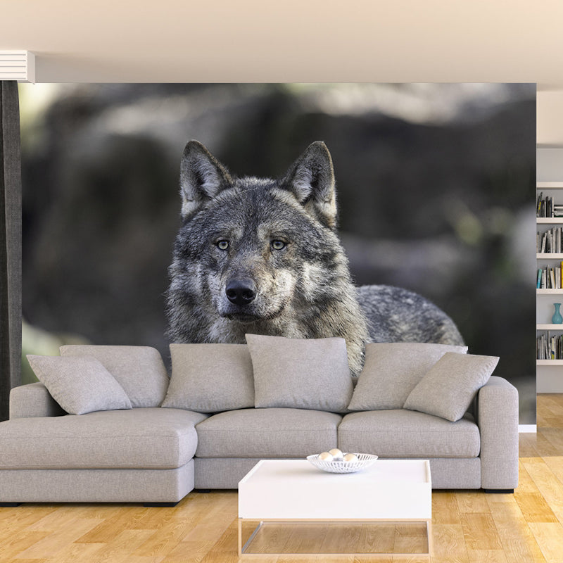 Contemporary Style Wolf Mural Eco-friendly Wallpaper Wall Covering for Sitting Room