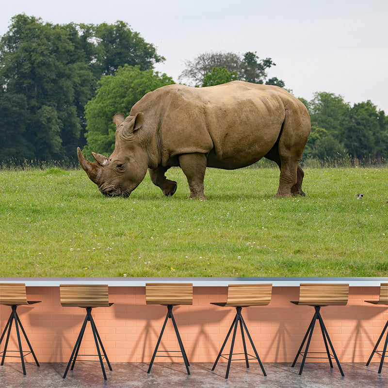 Contemporary Style Rhino Mural Eco-friendly Wallpaper Wall Covering for Sitting Room