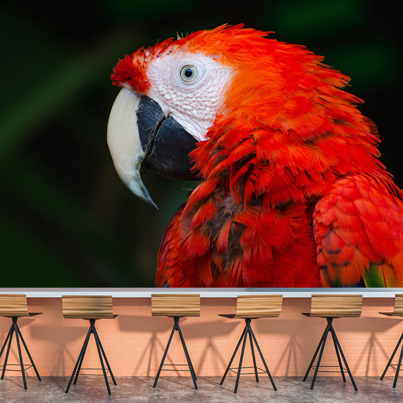 Clever Parrot Murals Moisture Resistant Contemporary Hallway Wall Decoration