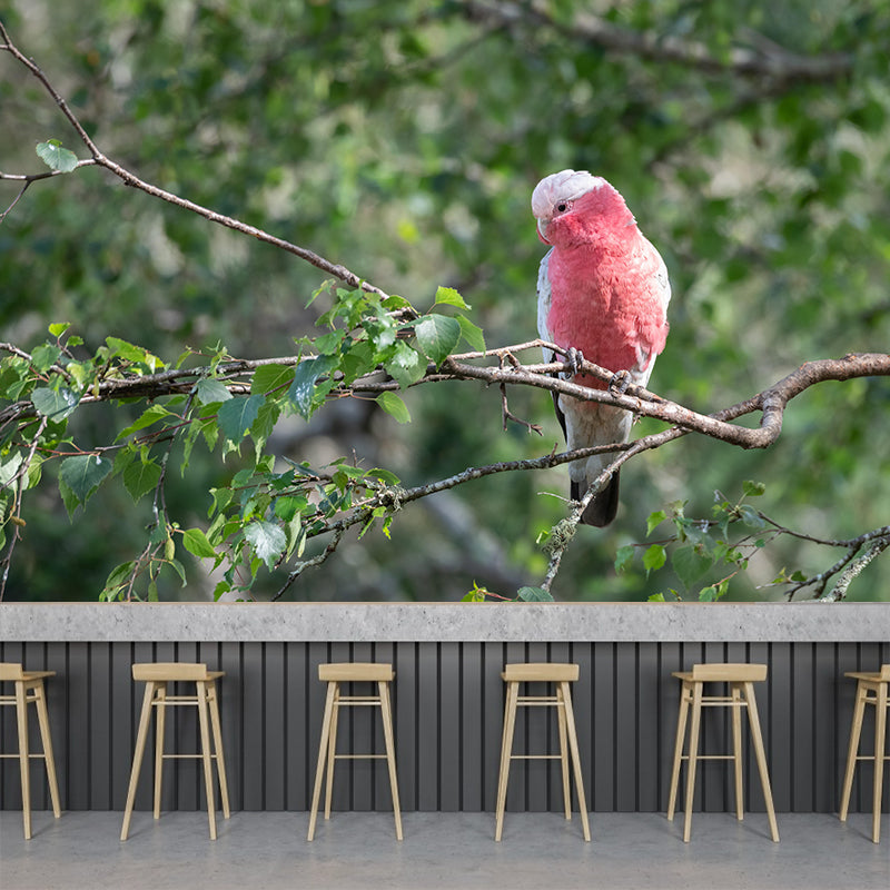 Clever Parrot Murals Moisture Resistant Contemporary Hallway Wall Decoration