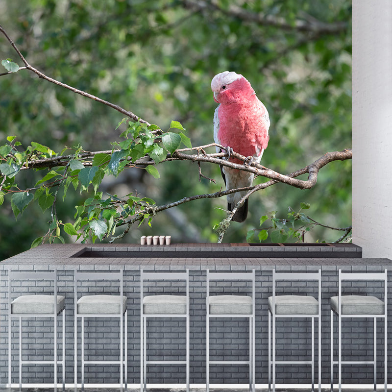 Clever Parrot Murals Moisture Resistant Contemporary Hallway Wall Decoration