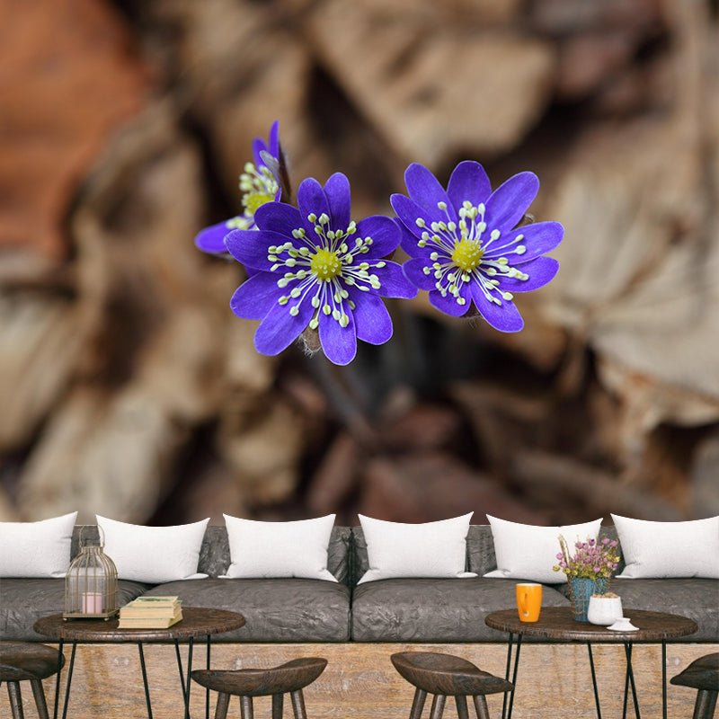 Minimalistische Blumen-Tapete, abnehmbar, schmutzabweisendes Dekor in mehreren Farben