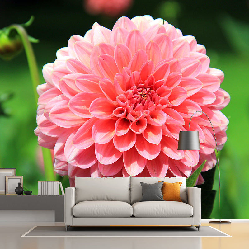 Meerkleurig bloem verwijderbaar muurschilderingbehang Vlekbestendig decor voor slaapkamer